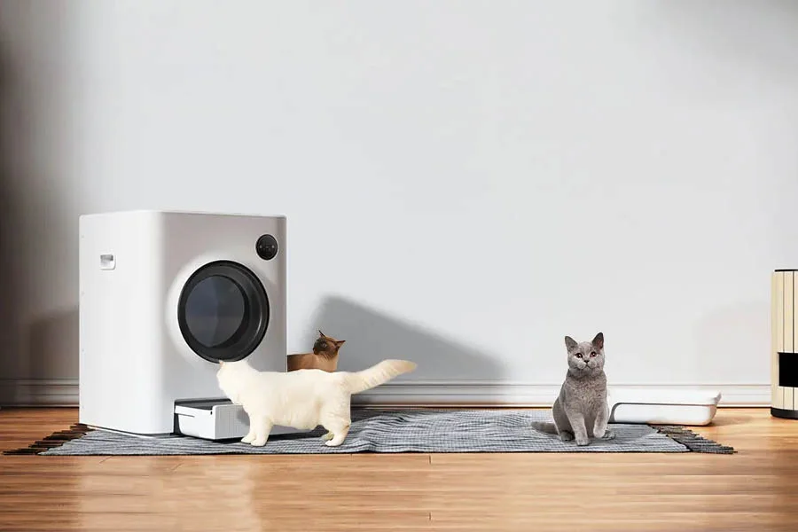 best automatic litter boxes for cats
